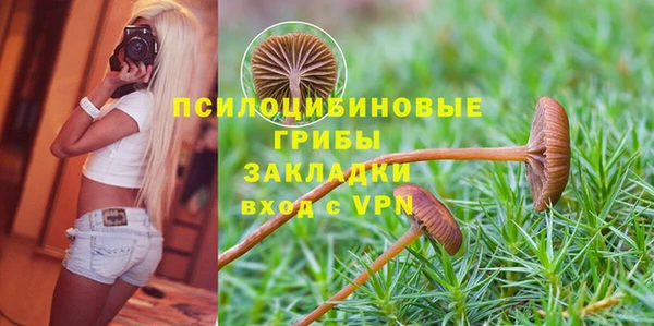 мескалин Липки