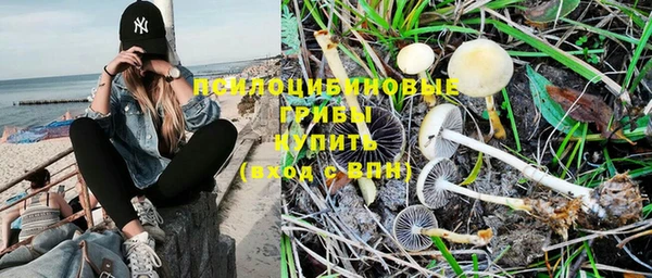 ГАЛЛЮЦИНОГЕННЫЕ ГРИБЫ Лиски